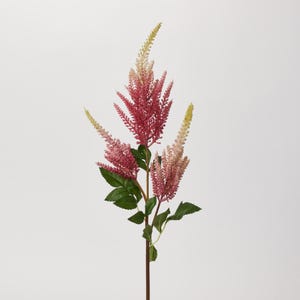 Fuchsia Pink & Cream Faux Astilbe Spray Single Long Stem Faux Floral - 34&quot;