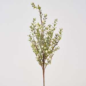 Lifelike Cream Winterberry & Boxwood Winter Foliage Spray Decorative Holiday Spray Stem - 21"