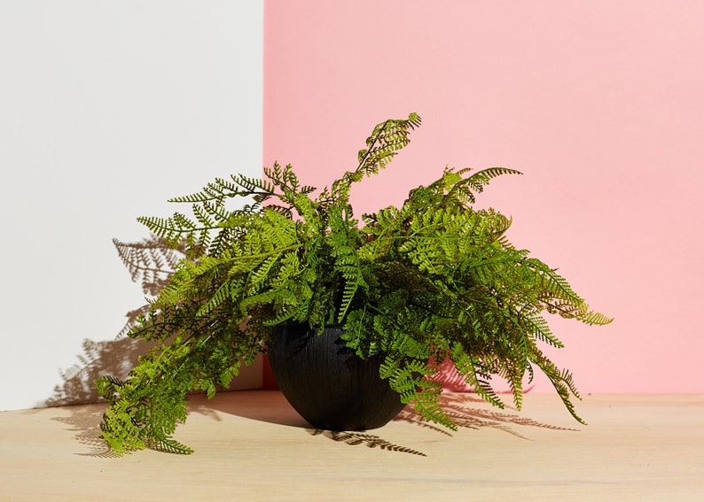 Real Touch Faux Lace Fern in Black Ceramic Pot or Stoneware Etsy