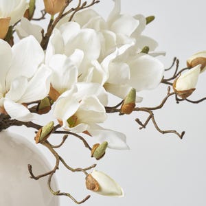 Może przedstawiać: Zbliżenie białego ceramicznego wazonu z bukietem białych kwiat&oacute;w i pąk&oacute;w magnolii. Kwiaty mają wiele płatk&oacute;w i są w pełnym rozkwicie. Łodygi są brązowe, a pąki zielone i brązowe.