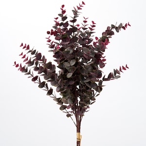 Peut inclure: Un bouquet de fausses tiges d'eucalyptus avec des feuilles vert foncé et bordeaux. Les tiges sont attachées avec de la ficelle. Les feuilles sont arrondies et densément regroupées. Le fond est blanc uni.