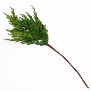 Norfolk Pine Extra Large Branch Spray Winter Greenery - 39&quot;