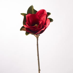 May include: A single artificial magnolia flower with deep red, velvety petals and a textured, light-colored center. The bloom is surrounded by several dark green, glossy leaves and is attached to a slender, brown, woody-textured stem.