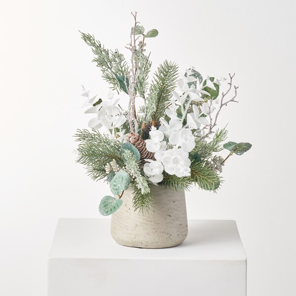 Bloom & Wild The Winter Spruce