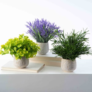 Peut inclure: Trois plantes en pot avec des feuilles vertes et des fleurs de lavande dans des pots en céramique blanche avec un motif en relief. Les pots sont posés sur une surface blanche avec deux livres.