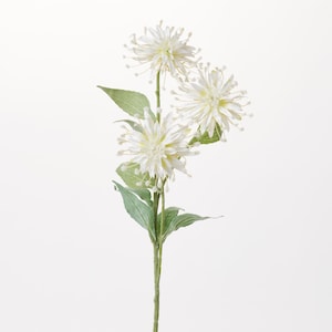 Tropical White Chrysanthemum Pom Pom Mum Faux Floral Stem Spray - 28&quot;
