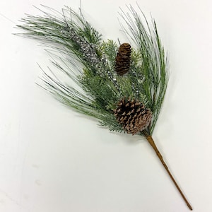 May include: A green pine sprig with two brown pine cones and silver glitter accents.