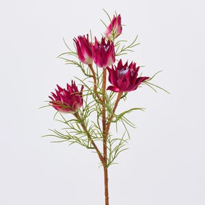 May include: A single stem of artificial flowers with deep magenta blooms and green, needle-like leaves. The flowers have a spiky, textured appearance, and the stem is a warm brown color. The background is plain white.