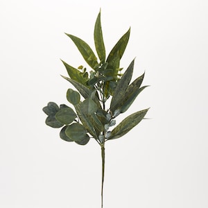 Seeded Eucalyptus Pod Everyday Greenery Single Faux Foliage Spray - 21&quot;
