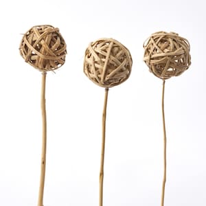 Natural Rattan Ball on Wood Pick - Set of 3