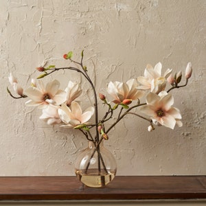 Apricot Magnolia Blooms & Bud Branches in Amber Ball Vase Everyday Water Illusion Arrangement