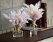 Ombre Pampas Grass Arrangement in Glass Bud Vase with Antiqued Gold Rim - 2 Size Options 
