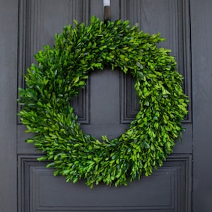 Natural Preserved Green Boxwood Everyday Wreath 22"