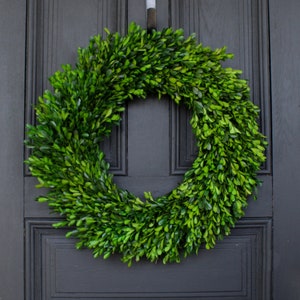 Natural Preserved Green Boxwood Everyday Wreath 22&quot;