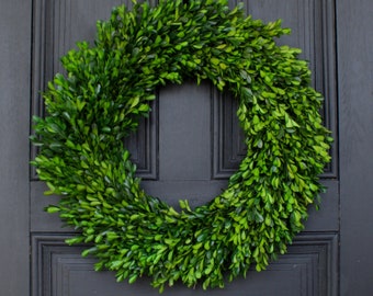 Natural Preserved Green Boxwood Everyday Wreath 22"