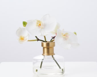 White Orchid Blooms in Rimmed Bottle Vase Water Illusion Arrangement