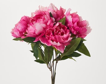 May include: A bouquet of vibrant pink peonies with white accents. The flowers have multiple layers of petals and are surrounded by green leaves. The stems are a dark brown color, and the background is white.