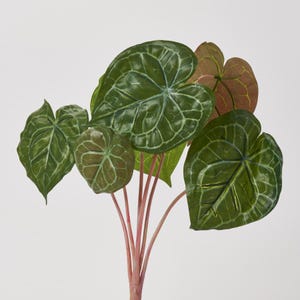 Puede incluir: Un grupo de hojas artificiales de Anthurium en tonos verdes y marrones. Las hojas tienen vetas prominentes y están unidas a tallos de color rosa rojizo. El fondo es blanco liso.