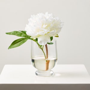 White Peony Water Illusion Faux Floral Arrangement in Small Clear Glass Urn