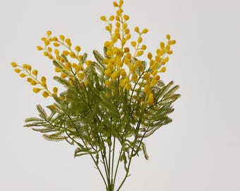 サニベル様フレッシュミモザ枝 Mingle Blood Orange Elderflower