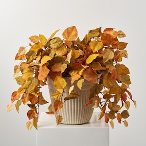 Puede incluir: Una planta en maceta decorativa con follaje otoñal. Las hojas son en tonos de amarillo, naranja y marrón. La planta está en una maceta beige acanalada, creando un acento natural y decorativo.