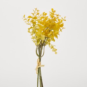 Vibrant Yellow Eucalyptus Bundle Bouquet of 5 Stems - 14&quot;
