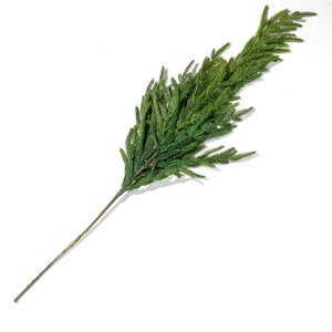 Real Touch Norfolk Pine Spray - 38&quot;