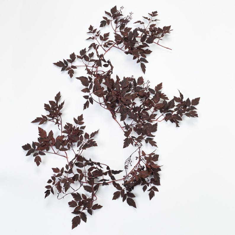 Darby Creek Trading Cimicifuga Ramosa Leaf & Berry Garland - Thumbnail 3