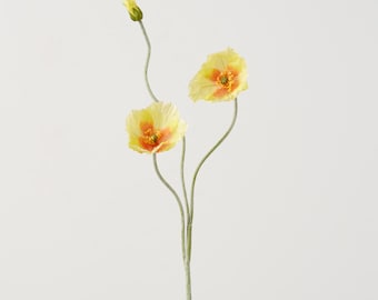 Puede incluir: Tres flores de amapola amarillas con centros naranjas en un solo tallo. Las flores están dispuestas en forma escalonada, con la flor superior mirando hacia adelante y las dos inferiores mirando hacia los lados.