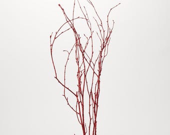 Könnte beinhalten: Ein Bündel schlanker, rotbrauner Zweige mit glitzernder Textur. Die Zweige sind vor einem weißen Hintergrund vertikal angeordnet und bilden ein natürliches, dekoratives Element. Ideal für Blumengestecke oder saisonale Dekorationen.