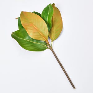 Real Touch Classic Magnolia Leaf Pick Stem - 14&quot;