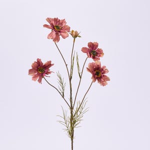 Könnte beinhalten: Ein Stiel mit künstlichen Kosmosblumen in den Farbtönen Staubrosa und Grün. Die Kosmosblumen haben mehrere Blütenblätter mit einem dunkelgelben Zentrum. Der Stiel ist braun mit grünen Blättern und einer Blütenknospe.
