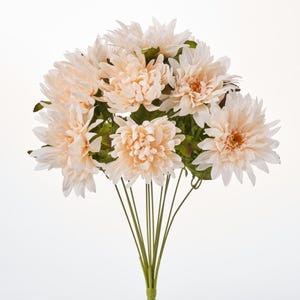 Sweet Cream Autumn Chrysanthemum Bush Bouquet - 22&quot;
