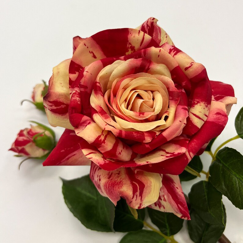 Real Touch Red Candy Cane Stripe Juliette Rose & Buds Large Bloom Stem ...