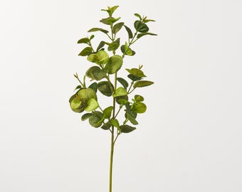 May include: A single artificial eucalyptus stem with multiple green leaves and a slender, light green stem. The leaves vary in size and shape, with some being round and others more elongated. The overall appearance is fresh and natural.