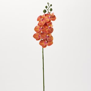 Blooming Orange Phalaenopsis Orchid Single Long Stem Tropical Faux Floral Spray - 25&quot;