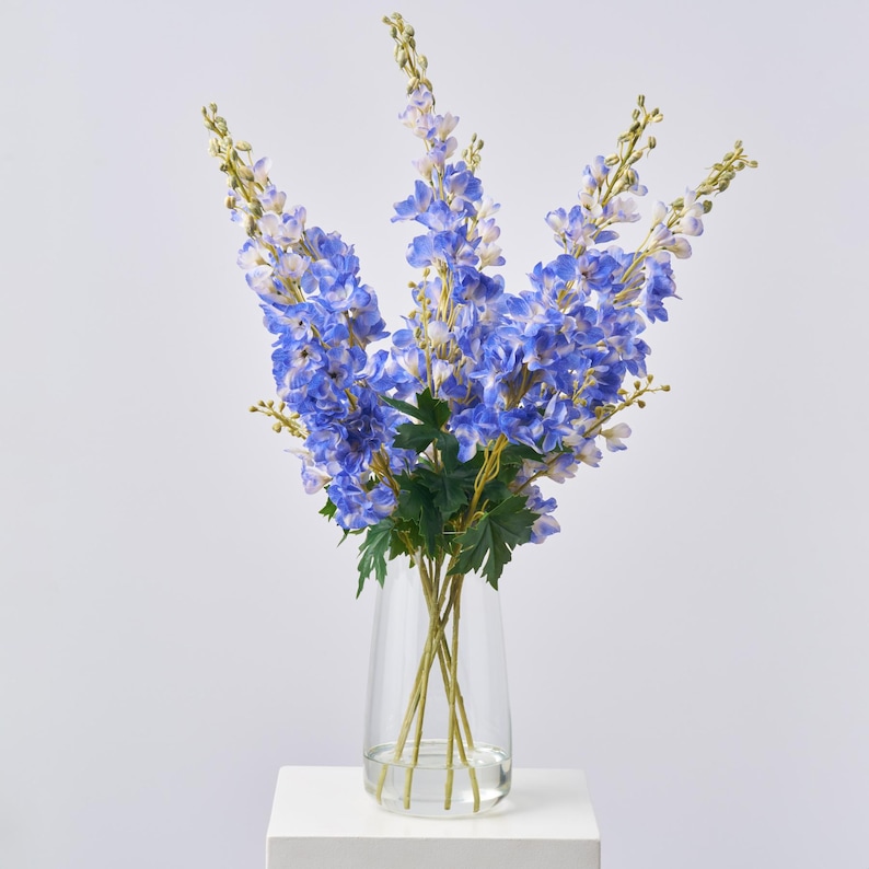 Large Blue Delphinium Flowering Blooms in Tall Teardrop Vase Spring ...