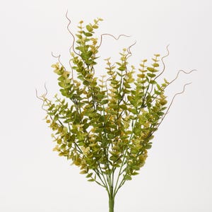 Light Green Spiral Eucalyptus Bush Stem Bouquet - 20&quot;