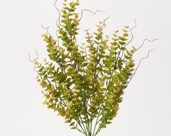Light Green Spiral Eucalyptus Bush Stem Bouquet - 20"