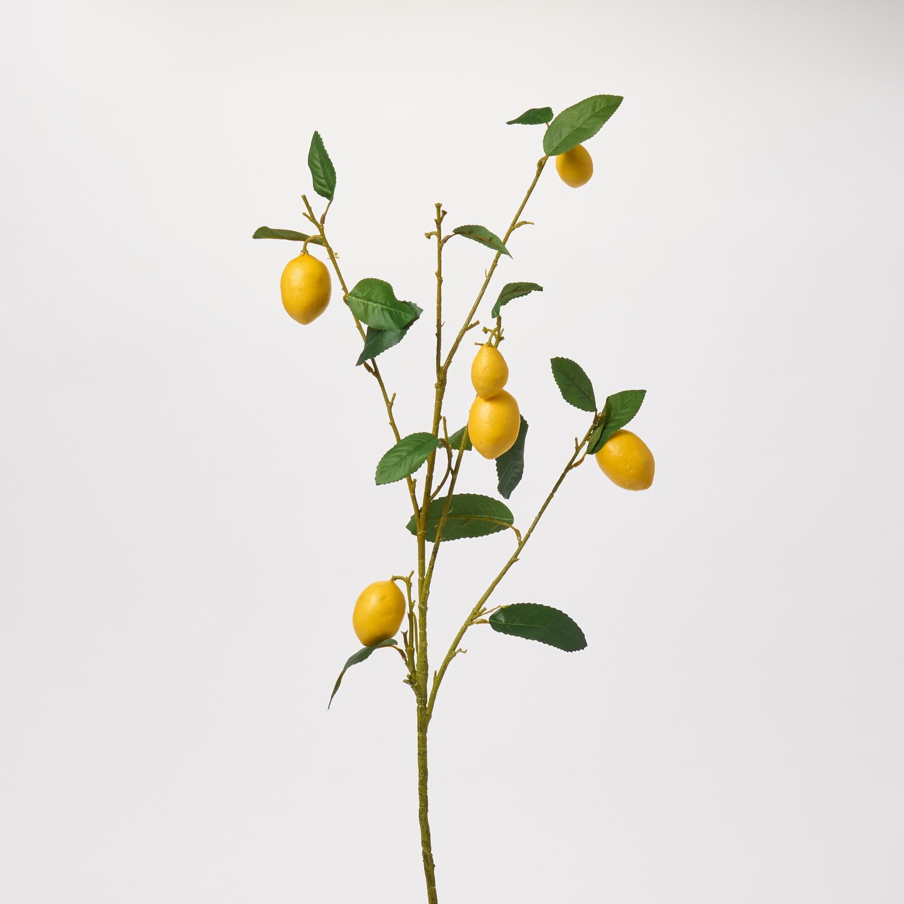 Meyer Lemon & Leaf Artificial Tree Branch Decorative Citrus Stem Spray ...