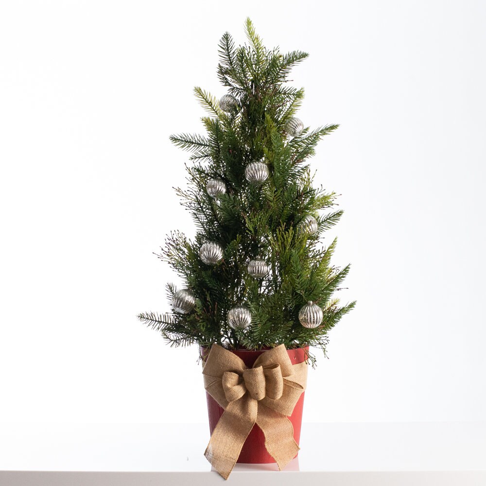 Outdoor Prelit Christmas Trees Etsy Australia