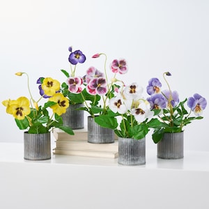 Puede incluir: Seis plantas artificiales de pensamiento en maceta de varios colores, incluyendo amarillo, morado, blanco y rosa, dispuestas sobre una superficie blanca con libros apilados en el fondo. Las plantas están en macetas de metal galvanizado.