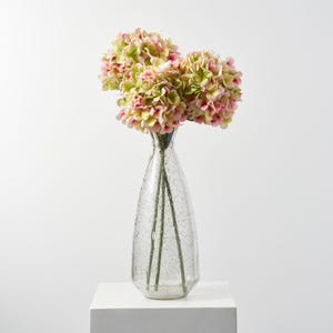 May include: A clear glass vase with a textured surface filled with pink and green hydrangea flowers.