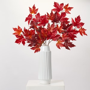 May include: A white ceramic vase with vertical grooves holds a vibrant arrangement of red maple leaves. The leaves display varying shades of red and orange, creating a warm, autumnal aesthetic. The vase sits on a white surface, providing a clean backdrop.