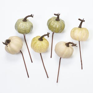 May include: Six artificial pumpkin stems with brown stems. The pumpkins are in three colours: beige, light green with glitter, and a light yellow.