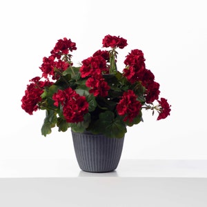 Lifelike Red Geranium Faux Floral Outdoor Summer Urn Filler Arrangement image 1