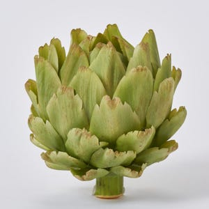 May include: A green artichoke with a closed bud, showing the intricate pattern of its leaves.