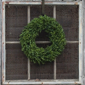 Realistic Boxwood Everyday All Seasons Spring Summer Outdoor Wreath 2 Sizes image 5