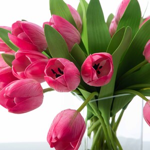 以下が含まれることがあります： 透明なガラスの花瓶に、緑色の茎のピンクのチューリップのブーケ。チューリップは房状に配置され、一部の花はカメラに向けられ、一部の花は外側を向いている。