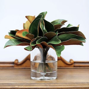 Real Touch Magnolia Leaves Everyday Arrangement in Glass Vase